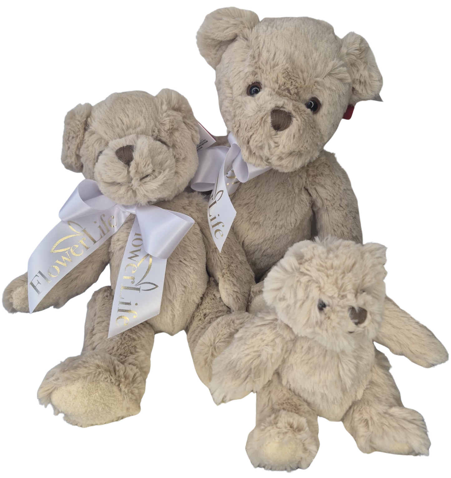 Bartley Teddy Bear